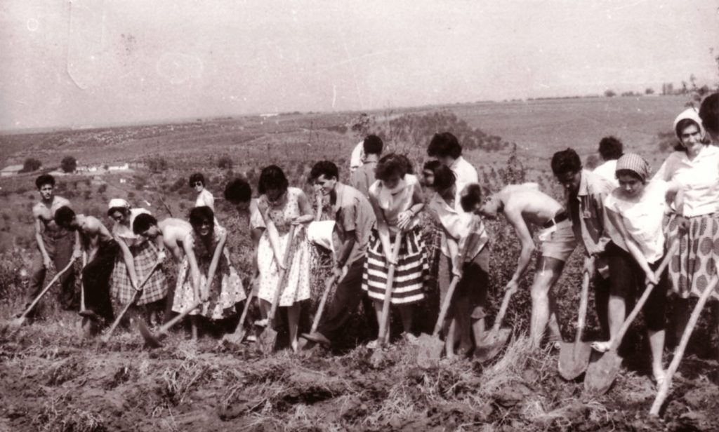Gruppo di contadini e operai rumeni al lavoro nei campi durante il regime comunista, simbolo della vita quotidiana sotto il controllo dello Stato.