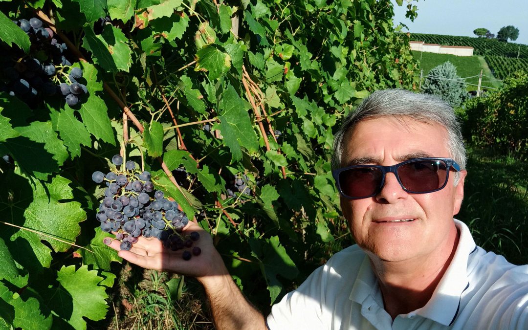 Emigrante clandestino in Italia: vendemmia mancata, incontri decisivi e dignità