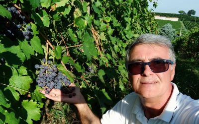 Emigrante clandestino in Italia: vendemmia mancata, incontri decisivi e dignità