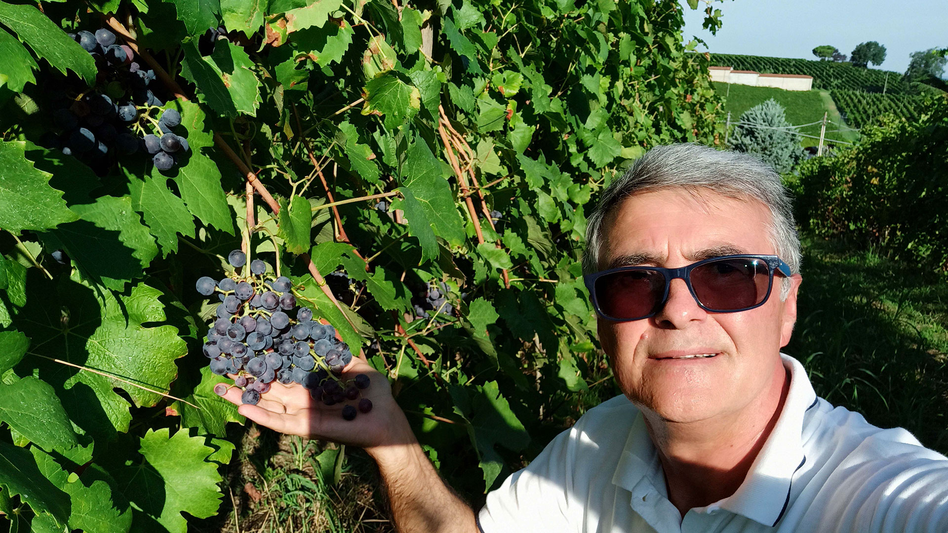 Emigrante clandestino in Italia ritratto in un vigneto mentre tiene in mano un grappolo d’uva, simbolo di lavoro, attesa e rinascita